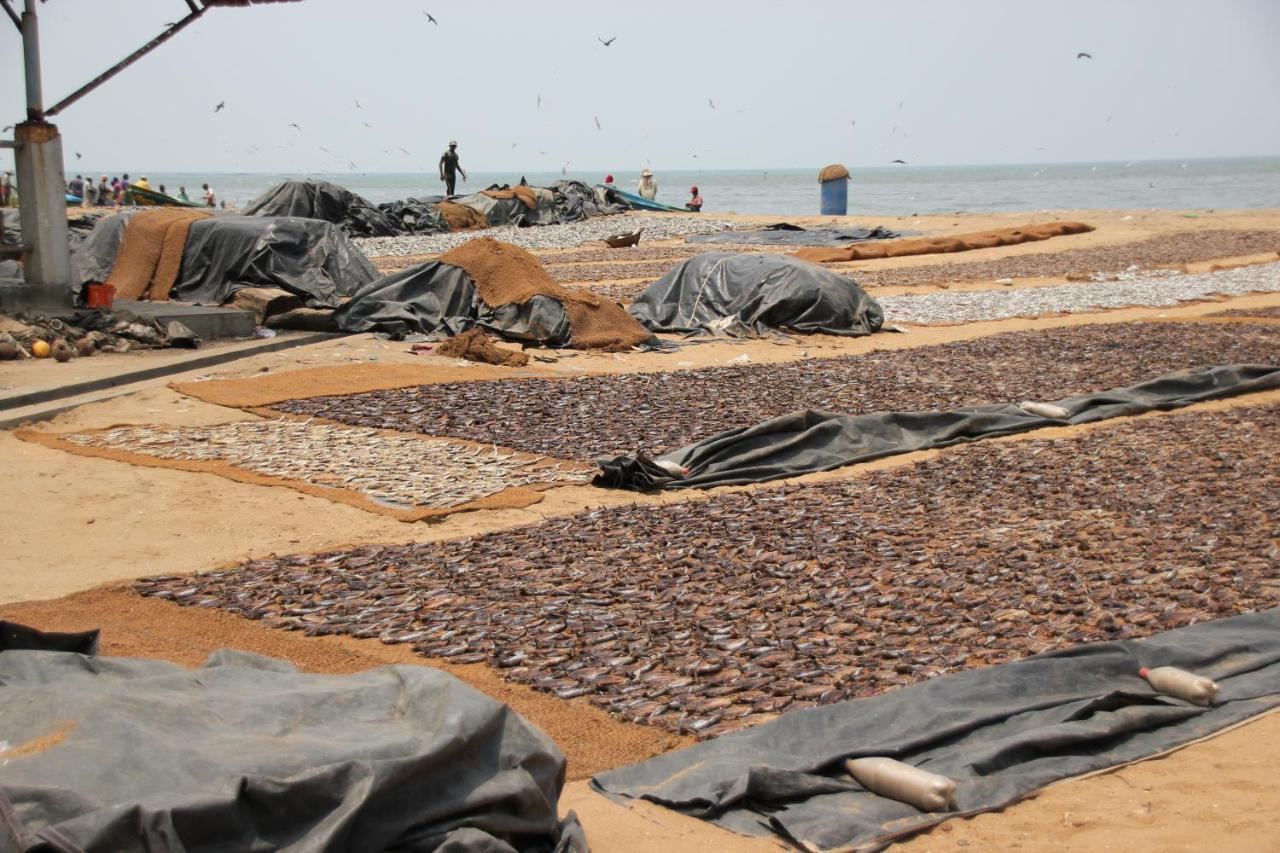 Oyo 317 Choy'S Waterfront Residence Negombo Exterior photo